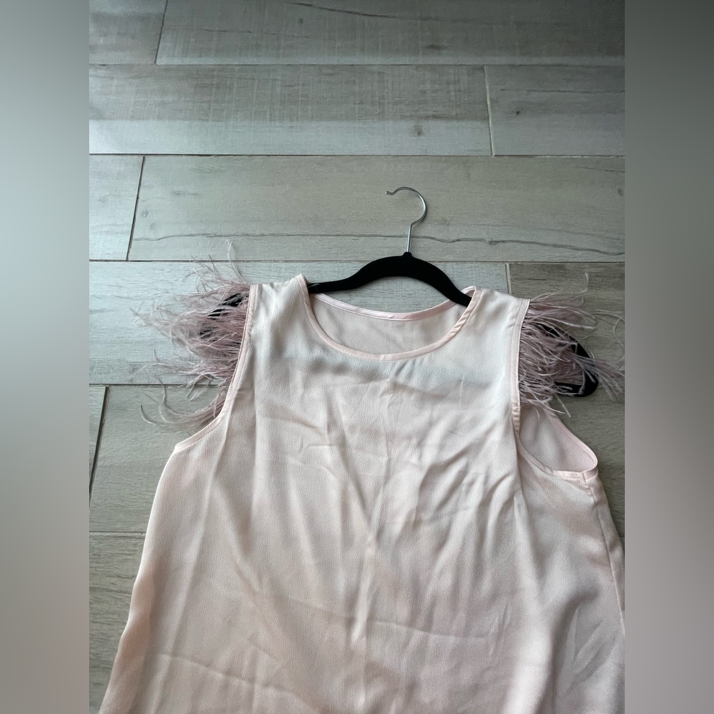Elegant Pink Sleeveless Top with Feather Details